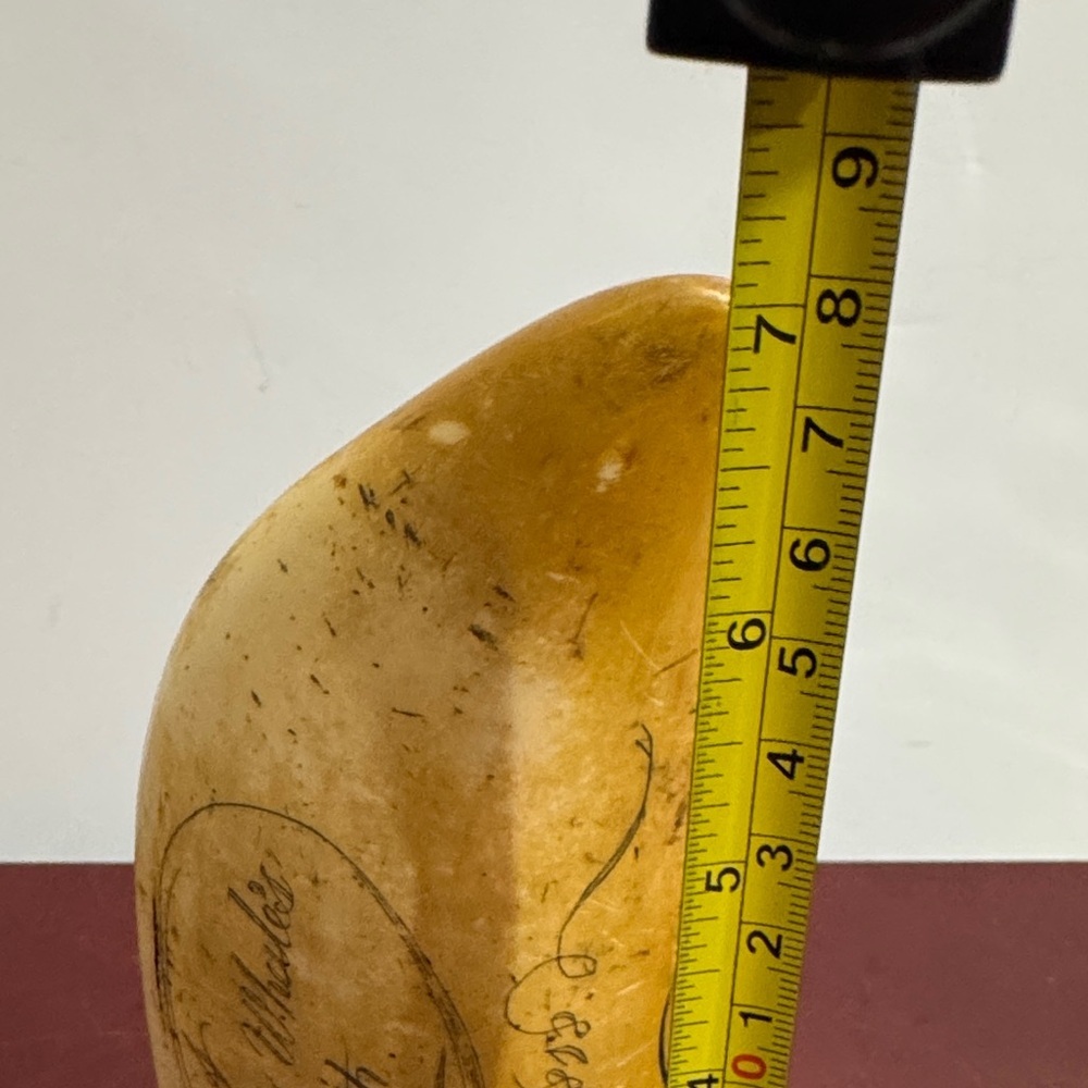SCRIMSHAW REPLICA RESIN SPERM WHALE TOOTH SHOAL OF WHALES ARTEK MS ANCHOR LOGO - Picture 13 of 14